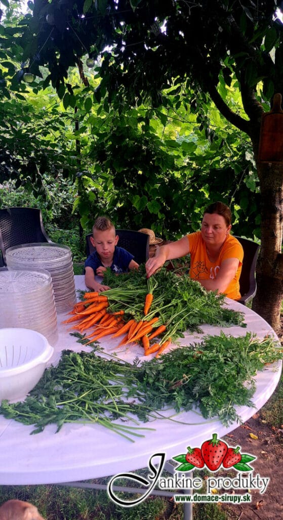 Jankina VEGE-TATA - domáca vegeta BEZ SOLI